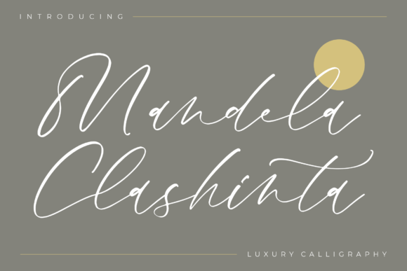 Mandela Clashinta: Elevating Web Design with a Luxury Script Typeface